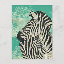 Vintage Zebra Turquise Postcard Vykort