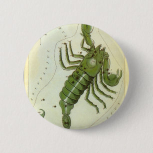 Vintage Zodiac, Astrology Scorpio Constellation Knapp