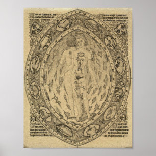 Vintage Zodiac-diagram Poster
