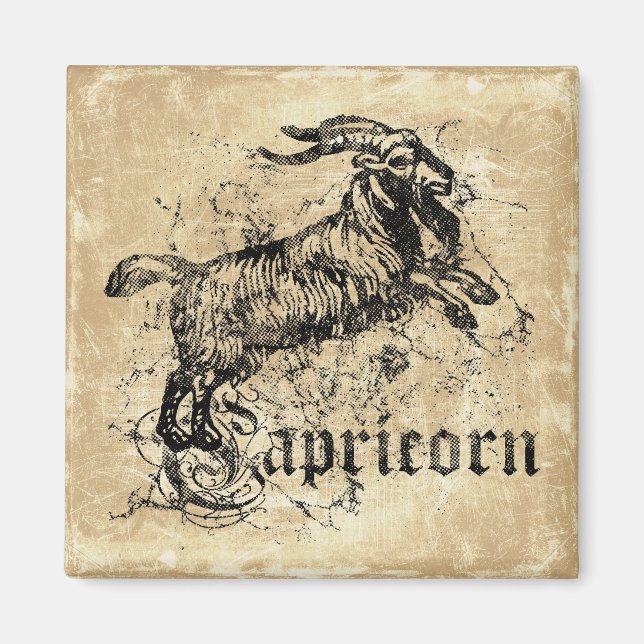 Vintage Zodiac Stenbocken Magnet (Framsidan)