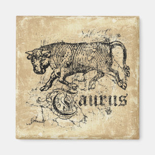 Vintage Zodiac Taurus Magnet