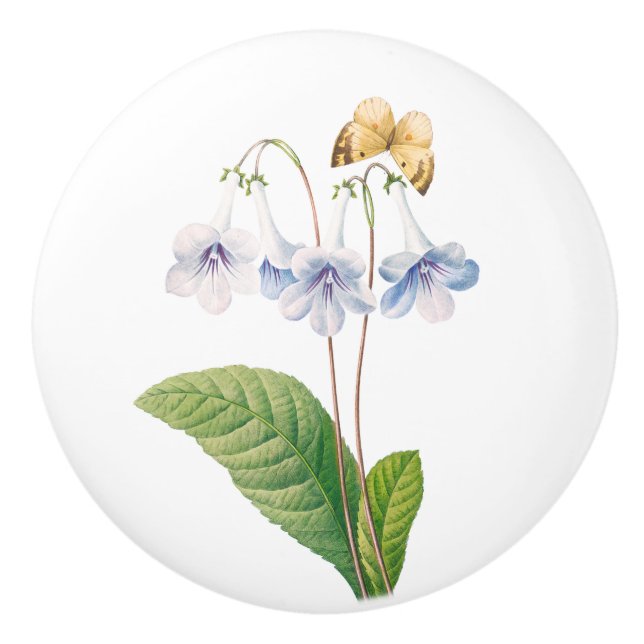 Vintageaffisch med botanisk illustration knopp (Framsidan)