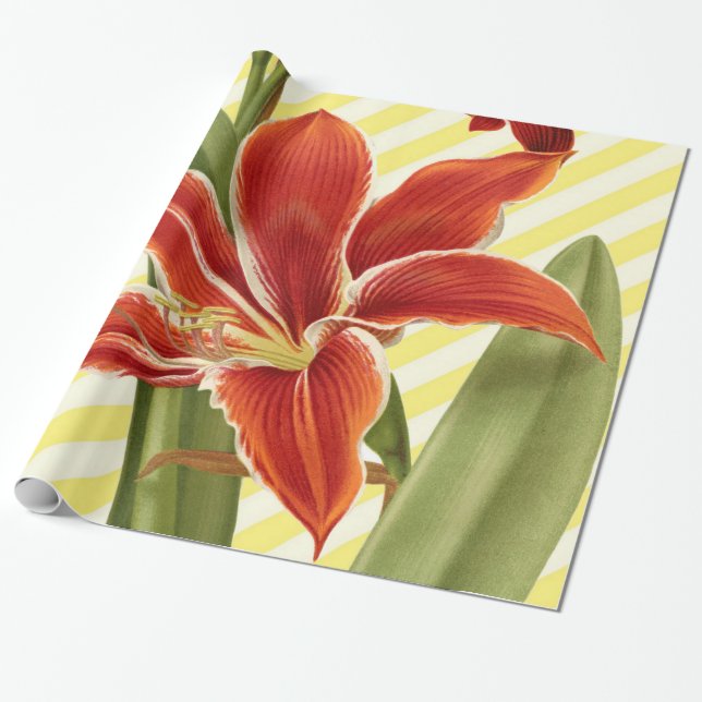VintageAmaryllis Presentpapper (Utrullad)