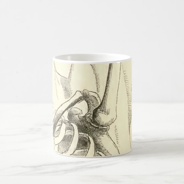 Vintageanatomi | knuffar gemensamt (circa 1852) kaffemugg (Center)