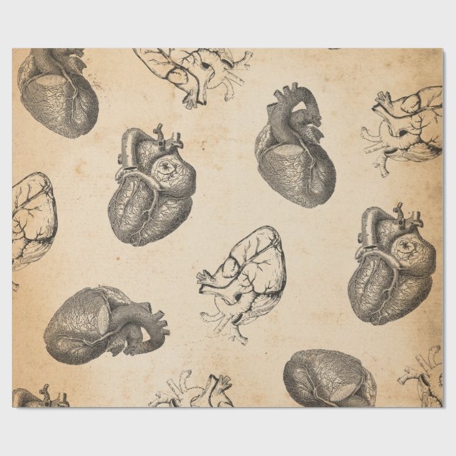 Vintageanatomi  presentpapper (Platt)