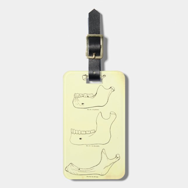 Vintageanatomi | snackar Lower Bagagebricka (Vertikal Framsida)