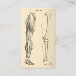 Vintageanatomi | tränga sig in och ben av lägga visitkort
