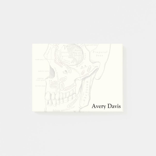 VintageanatomiAnterolateral region av skallen Post-it Block (Framsida)