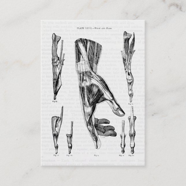 Vintageanatomikonst räcker, och wristen tränga sig visitkort (Framsida)