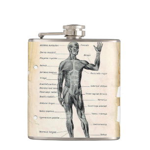 Vintageanatomiteckning Fickplunta
