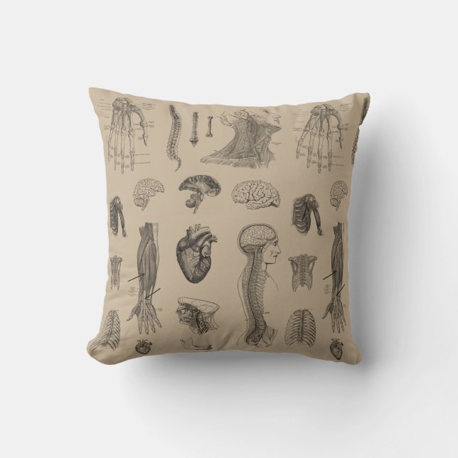 Vintageanatomitryck Kudde (Framsida)