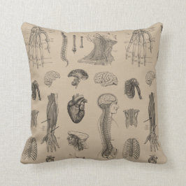 Vintageanatomitryck Kudde