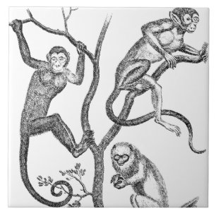 Vintageapaillustration - apor 1800's kakelplatta