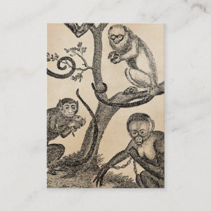 Vintageapaillustration - apor 1800's visitkort