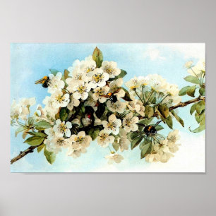 VintageApple blommar Poster