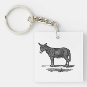 Vintageåsnaillustration - åsnor 1800's