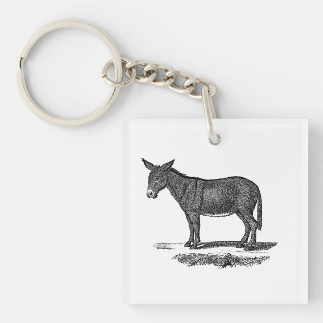 Vintageåsnaillustration - åsnor 1800's (Framsidan)