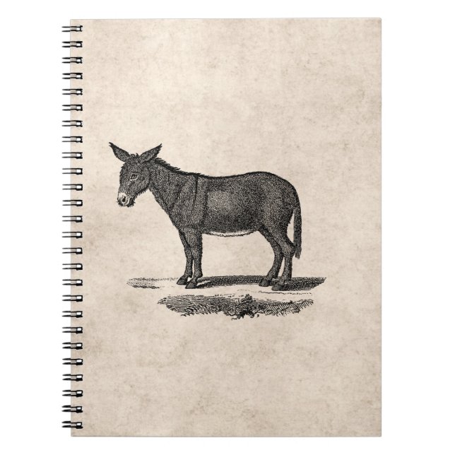 Vintageåsnaillustration - åsnor 1800's anteckningsbok (Framsidan)