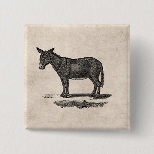 Vintageåsnaillustration - åsnor 1800's knapp
