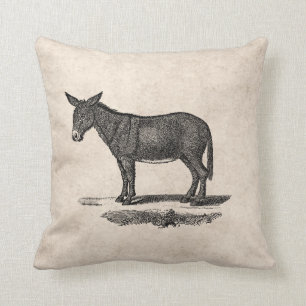 Vintageåsnaillustration - åsnor 1800's kudde