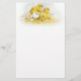 Vintagebabyhönor Brevpapper