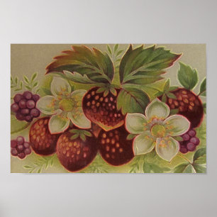 Vintagebär Poster