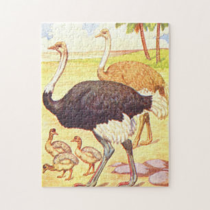 Vintagebarns Ostrich för illustration för bok Pussel