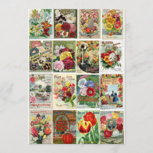Vintageblomman kärnar ur katalogCollage Inbjudningar