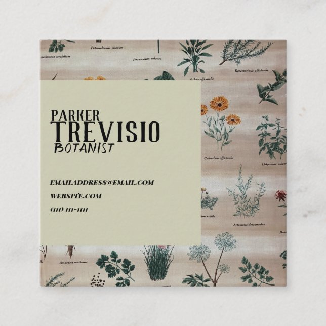 Vintageblommigtdiagram Fyrkantigt Visitkort (Framsida)