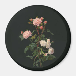 Vintageblommigtmagnet Magnet