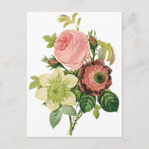 Vintageblommor, anemone-rosor Clematis av Redoute Vykort