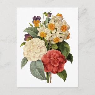 Vintageblommor, kamelior och narcissus, Redoute Vykort