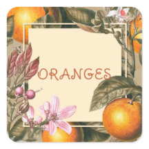 Vintageblommor och apelsiner