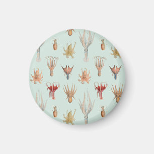 Vintageblötdjur (blått) magnet