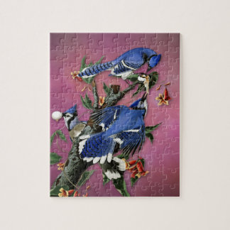 VintageBlue Jays illustration (Audubon) Pussel