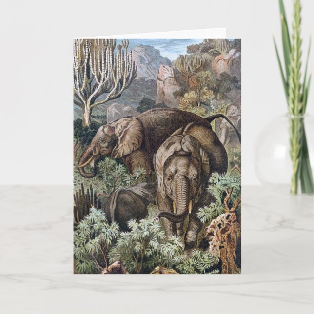 Vintagebok 1900 Illustration av afrikanska elefant Kort (Framsida)