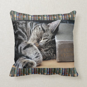 Vintagebokälskare som sovar katten, dämpar kudde