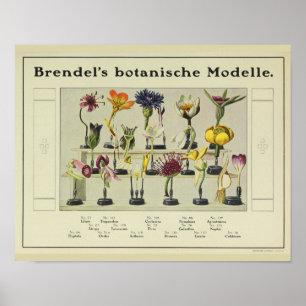 VintageBrendels blomma modellerar Poster