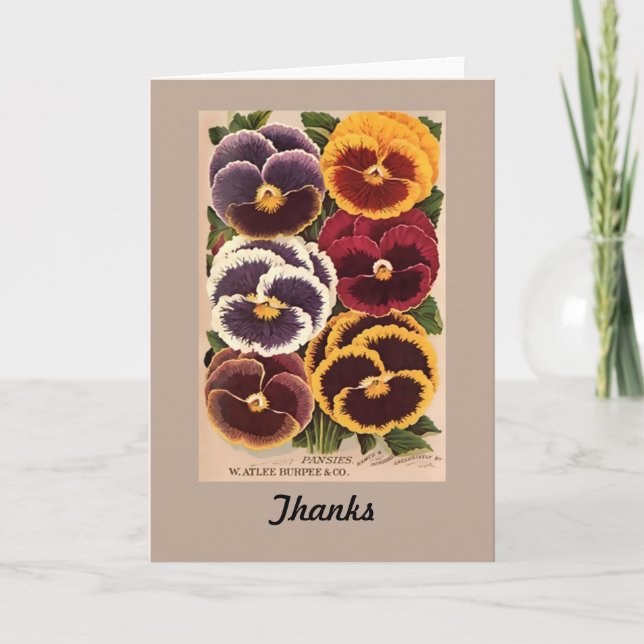 VintageBurpee blandade Pansies Tack Kort (Framsida)