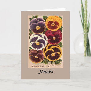 VintageBurpee blandade Pansies Tack Kort