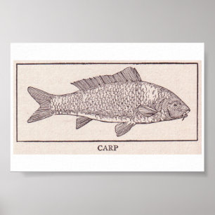 VintageCarp Poster