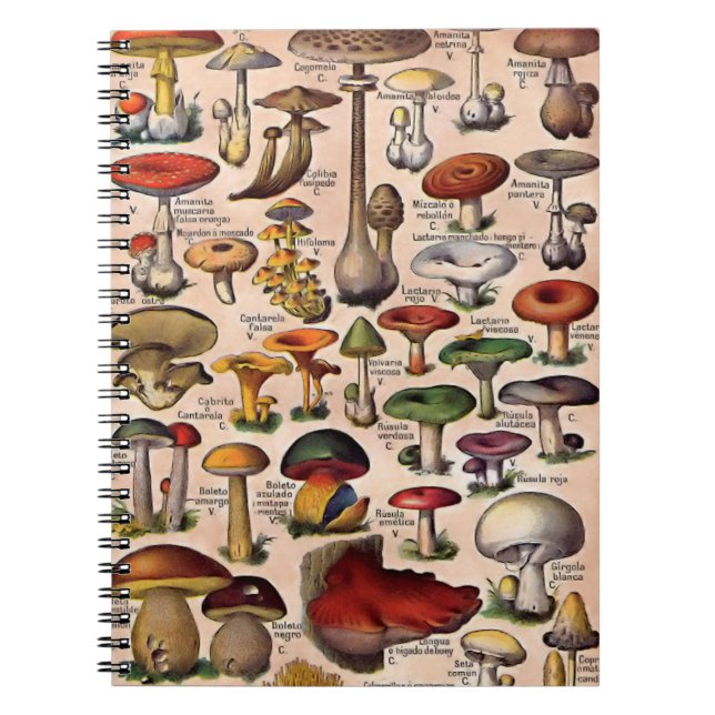 Vintagechampinjonen vägleder anteckningsbok med spiral (Framsidan)