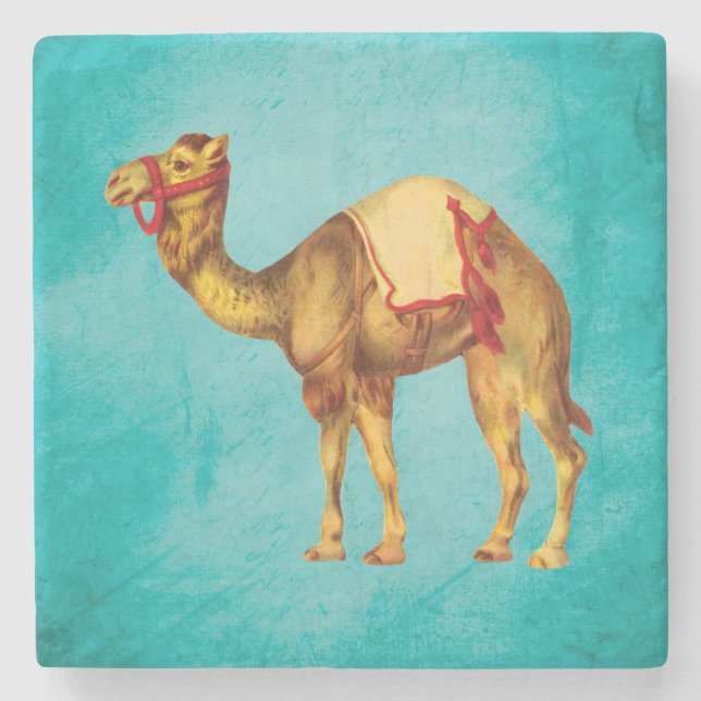 Vintagecirkuskamel på Aqua Stenunderlägg (Framsidan)