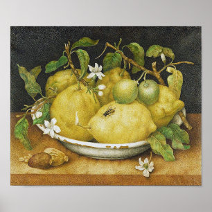 Vintagecitronstilleben Poster