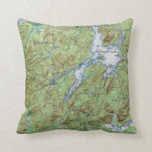 VintageCranberry New York för sjö topografisk Kudde