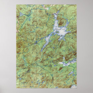 VintageCranberry New York för sjö topografisk Poster