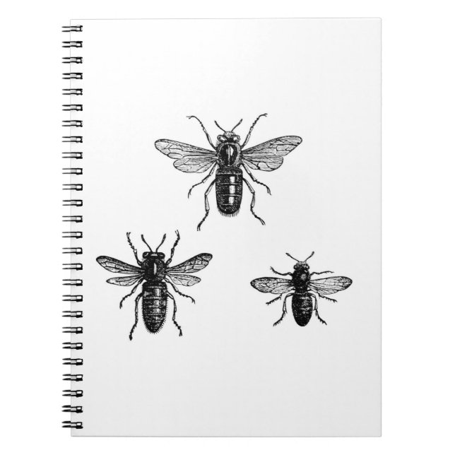 Vintagedrottningbi & arbetebiillustration anteckningsbok med spiral (Framsidan)