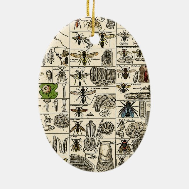 Vintageentomologi Julgransprydnad Keramik (Baksidan)