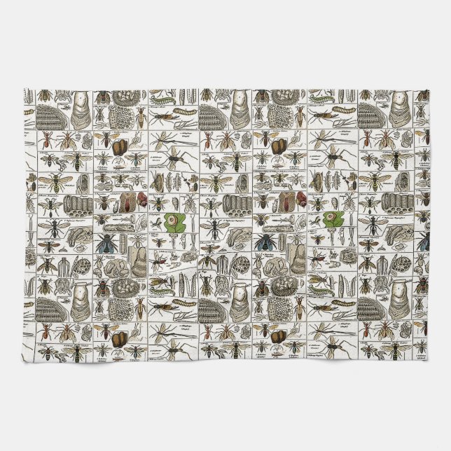 Vintageentomologi Kökshandduk (Horisontell)