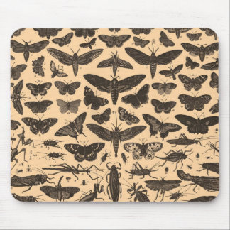 Vintageentomologi Mousepad Musmatta